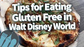 Tips for Gluten Free Eating in Disney World!