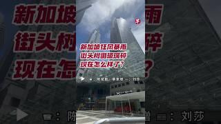 新加坡狂风暴雨 街头树倒玻璃碎 现在怎样了？#zaobaosg #sgnews