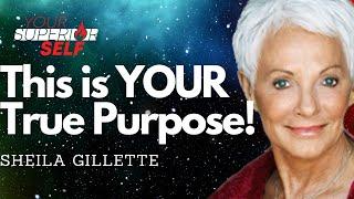 Conversing with Angels- Channeled Archangel Group THEO reveals powerful message with Sheila Gillette