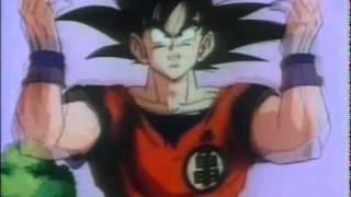 Dragon Ball Z Abertura PT-PT