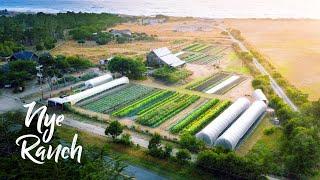 Saying Goodbye to STUNNING OCEANFRONT Farm!