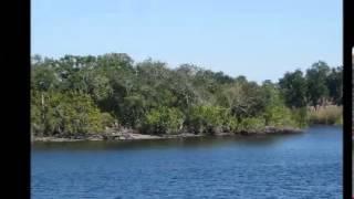 Absolute Auction of Private Island by Fisher Auction Company.mp4