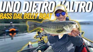 UNO DIETRO L’ALTRO! Bass Fishing dal Belly Boat (4k)