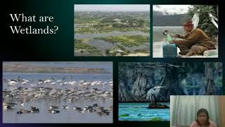 Wetlands Action for People and Nature, 2022