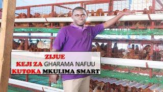 KUFUGA KUKU KWA KUTUMIA KEJI ZA MKULIMA SMART