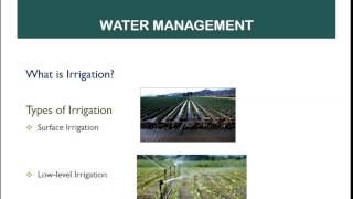 Irrigation Basics