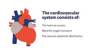 The Cardiovascular System: how the heart pumps blood to nurture the body.