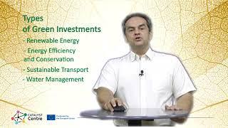 2.4. Green Investments