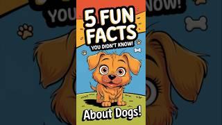 Dogs Funfacts #shortsfeed #shortsviral #shortvideos #shorts #short #minivlogger #subscribe