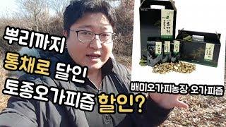 농부아빠의 뿌리까지 통채로 달이는 토종오가피즙