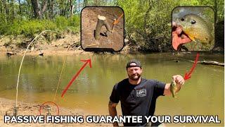 Passive Fishing 101 How To Catch More Fish Using an Automatic Fishing Pole