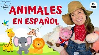 Aprende Español con Ana Banana - Desarrollo del Lenguaje para niños - Animales - Nuevo Vocabulario