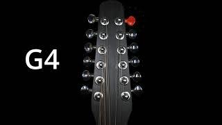 Tune Your 12 String Guitar [Easy Way]