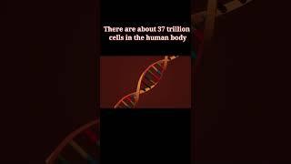 Amazing facts of Human body | Science facts | Real facts