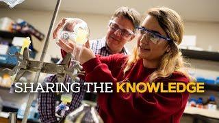 Sharing the Knowledge - Theoretical Chemistry Student Profile