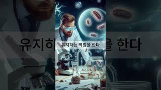 최소 동물, 플랑크톤(plankton)