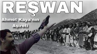 AHMET KAYA'NIN AŞİRETİ - REŞWAN AŞİRETİ