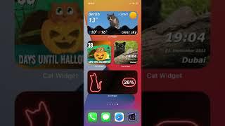 Cat Widget - World of Cats - iOS Widget App