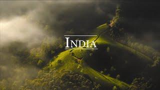 Welcome to India ! [CINEMATIC TRAVEL FILM]