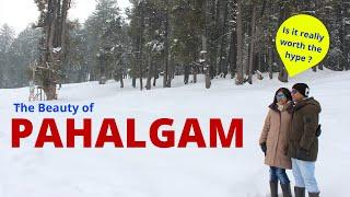 Pahalgam Kashmir Trip | Mini Switzerland | kashmir Tour | #GauravAndNeeti