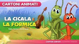 La Cicala e la Formica (The Grasshooper and the Ant) Cartone Animati | Storie per Bambini