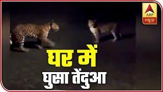 Watch: Leopard Enters A Colony Of Ex-Servicemen In Uttarakhand's Bhimtal | ABP News