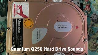 Quantum Q250 Hard Drive Sounds - An early Quantum without a positioning sensor…