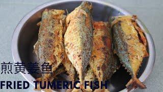 煎黄姜鱼食谱|Fried Fish with Tumeric Powder Recipe