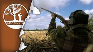 Decoying Wood Pigeons over Maize Stubble