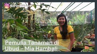 Pemulia Tanaman Hias di Ubud Bali - Mia Hambali