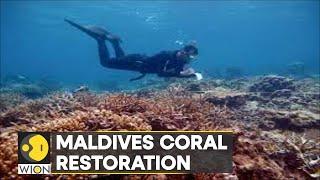 WION Climate Tracker | Marine biologists repairing and rebuilding coral reefs