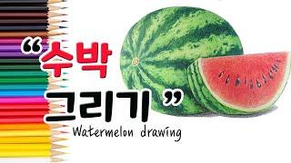 여름 대표 과일 '수박'을 그리는 방법 ㅣ How to draw a watermelon step by step