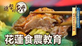 花蓮響應食農教育 產地到餐桌零距離 第451集《進擊的台灣》part5｜陳怡廷