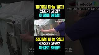 [한국농수산TV] 장마철 마늘 양파 건조고민? 차압식 건조기로 고민 해결