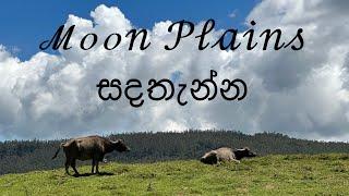 Nuwara eliya travel places | Moon plains සදතැන්න