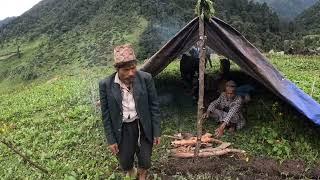 nomadic shepherd life of himalayan nepal || Bhim Yatri