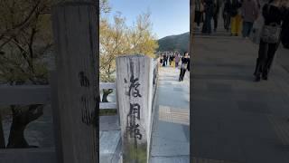 官心你的食衣住行育樂  2025年4月11日  渡月橋 嵐山 竹林小徑 極美 櫻花 一秒到日本 滿開 Japan 京都 Kyoto 木屋町通 きょうと 絕美 盛開 賞櫻 河川 推薦 清水寺 銀閣寺