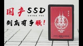 【败家评测】传说的国产SSD来啦！结果令我大吃一斤！