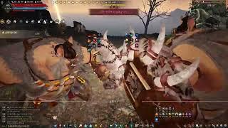 BDO | 상시 금돼지굴 always-open Golden Pig Cave | 각성위자드 Awakening Wizard