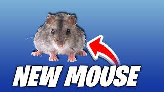 LIVE - NEW MOUSE SHOWCASE - SHRIMP GAME VC