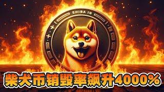 柴犬币销毁率飙升4000%！大大增加柴犬币稀缺性！SHIB将变得更有价值？柴犬币现货ETF有望推出？｜Cryptonews