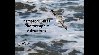 Bempton Cliffs Photographic Adventure