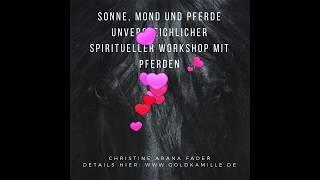 Sonne Mond & Pferde, spirituelle Reise, Christine Arana Fader www.goldkamille.de