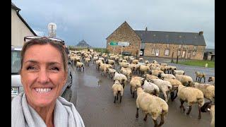 Mont St Michel - Pontorson Airbnb opposite pub at the foot of Mont St Michel