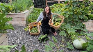 Full August Garden Tour and an Abundant Harvest!