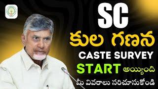 SC Caste Survey 2025 in Andhra Pradesh Complete Process in Telugu