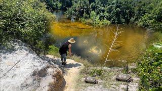 Exploring Turkey Creek Park! This place is Full of Florida Nature!