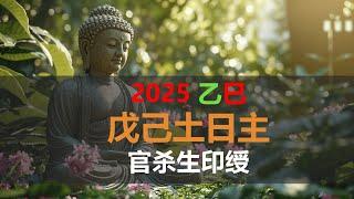 2025乙巳年 戊己土日主运势 - 十神角度