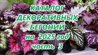 КАТАЛОГ ДЕКОРАТИВНЫХ БЕГОНИЙ  на 2025 год  часть 3  МОЯ СЕЛЕКЦИЯ