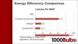 Energy-Saving Light Bulbs Compared